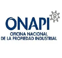 ONAPI Logo